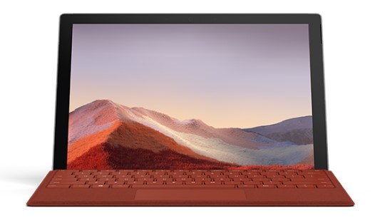 锦江清洁和维护 Surface